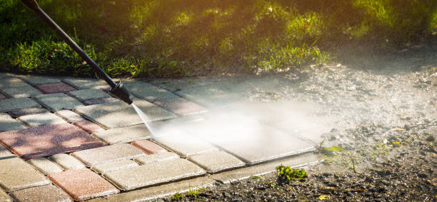 Best House Exterior Washing  in Muniz, TX